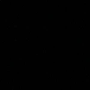 Meet your Posher, Rianne